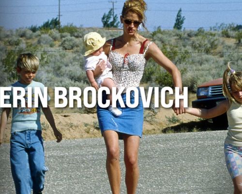 Erin Brockovich Law Movie